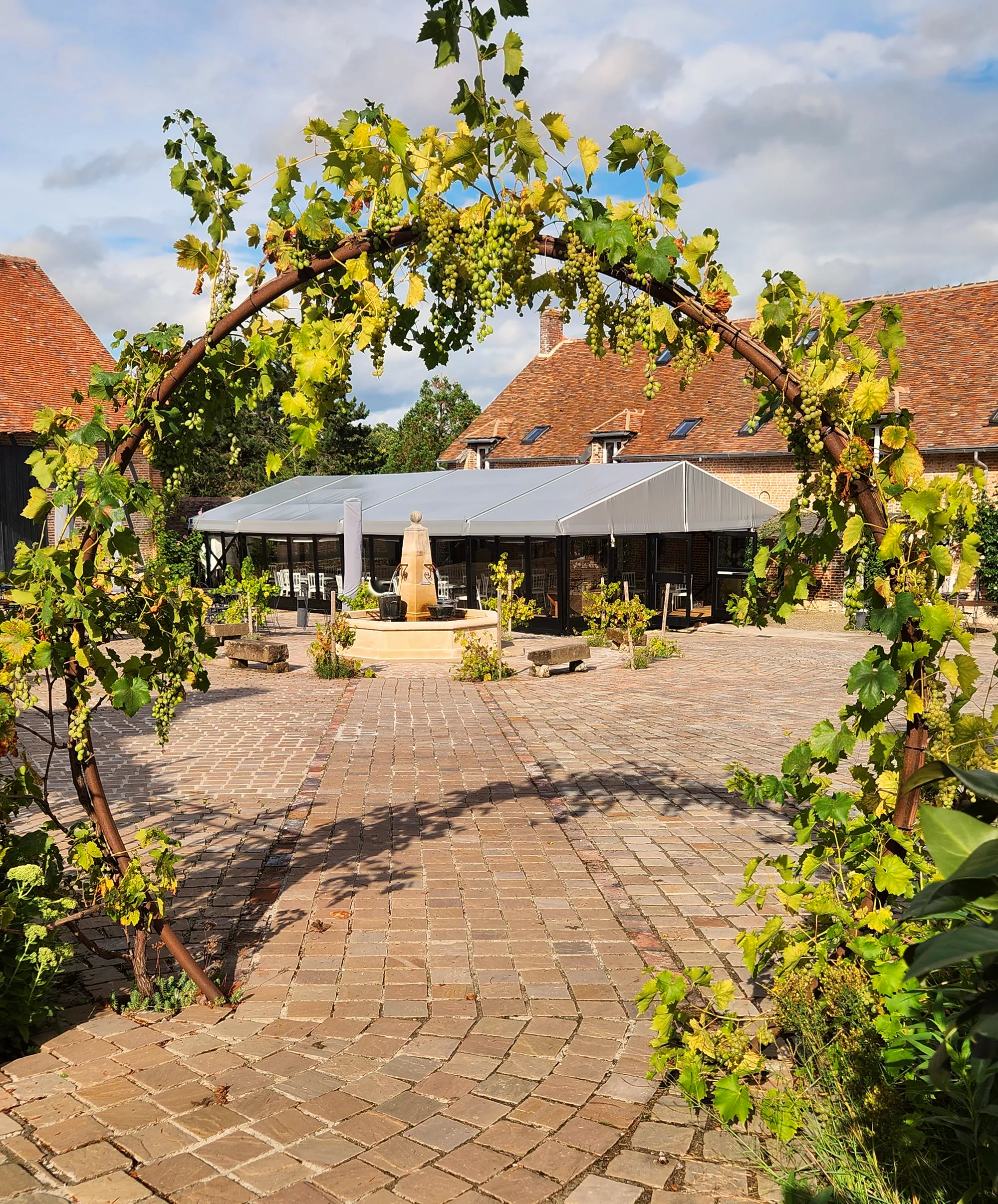 L'arche de vigne sur la cour pavée