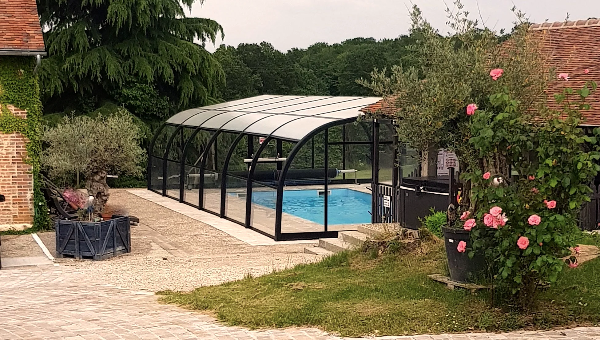 La piscine couverte et le rosier